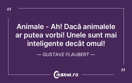 Animale - Ah! Dacă animalele ar putea v...
