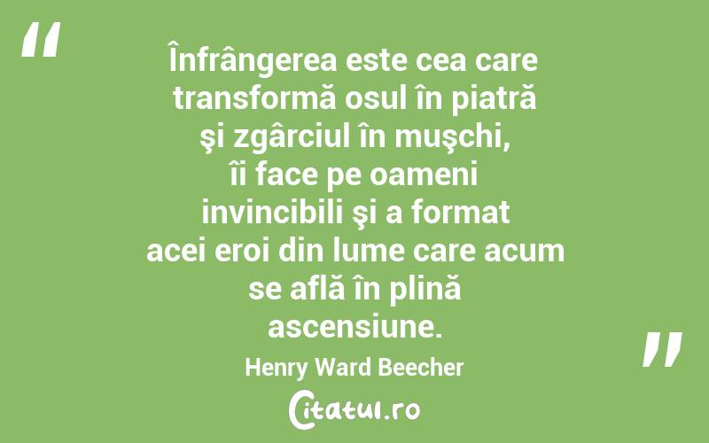 Înfrângerea este cea care transformă osul în piatră şi zgârciul în muşchi, îi face pe oameni invincibili şi a format acei eroi din lume care acum se află în plină ascensiune. Henry Ward Beecher
