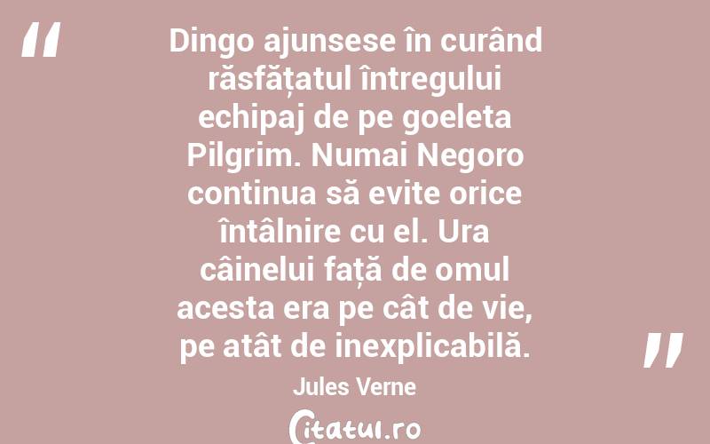 Dingo ajunsese în curând răsfăţatul întregului echipaj de pe goeleta Pilgrim. Numai Negoro continua să evite orice întâlnire cu el. Ura câinelui faţă de omul acesta era pe cât de vie, pe atât de inexplicabilă. Jules Verne
