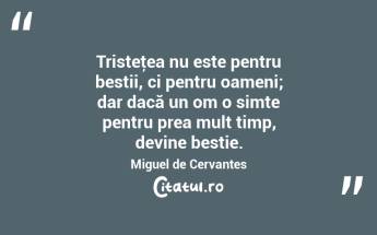 Tristeţea nu este pentru bestii, ci pentru oameni; dar dacă un om o simte pentru prea mult timp, devine bestie. Miguel de Cervantes...