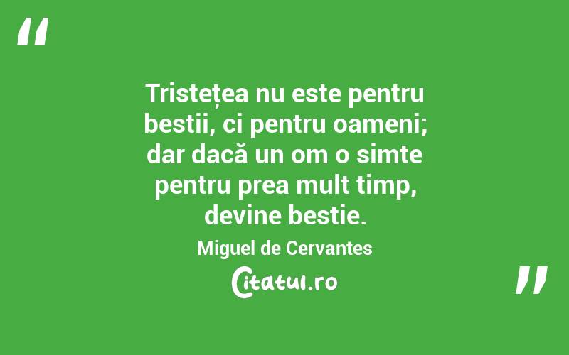 Tristeţea nu este pentru bestii, ci pentru oameni; dar dacă un om o simte pentru prea mult timp, devine bestie. Miguel de Cervantes

