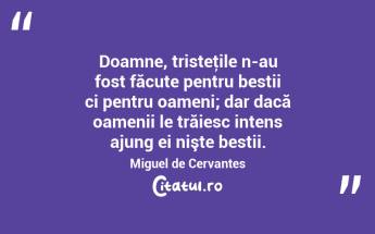 Doamne, tristeţile n-au fost făcute pentru bestii ci pentru oameni; dar dacă oamenii le trăiesc intens ajung ei nişte bestii. Miguel de Cervantes...