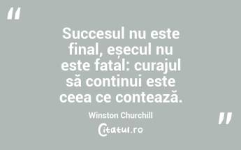 Succesul nu este final, eșecul nu este fatal: curajul să continui este ceea ce contează. Winston Churchill...