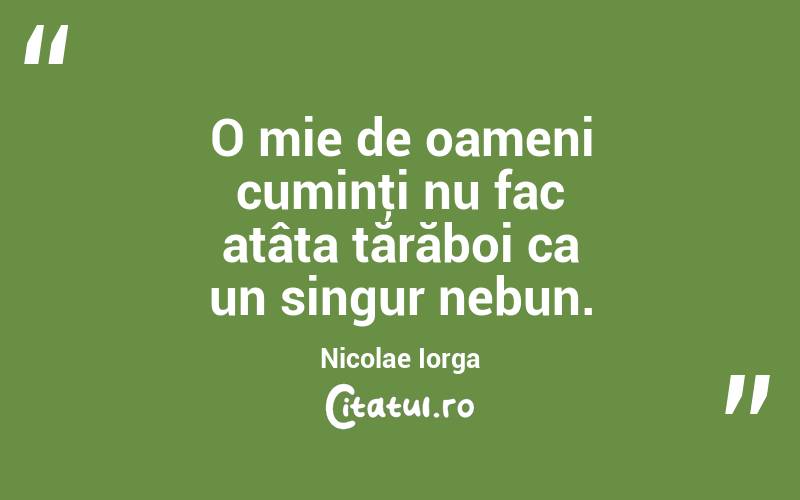 O mie de oameni cuminţi nu fac atâta tărăboi ca un singur nebun. Nicolae Iorga
