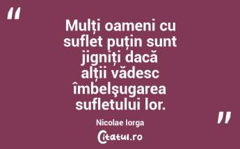 Mulţi oameni cu suflet puţin sunt jigniţi dacă alţii vădesc îmbelşugarea sufletului lor. Nicolae Iorga...
