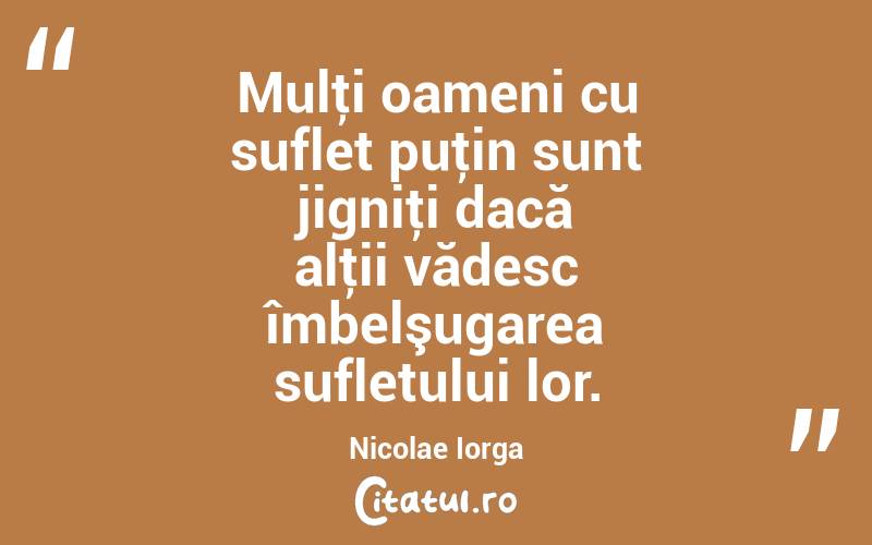 Mulţi oameni cu suflet puţin sunt jigniţi dacă alţii vădesc îmbelşugarea sufletului lor. Nicolae Iorga
