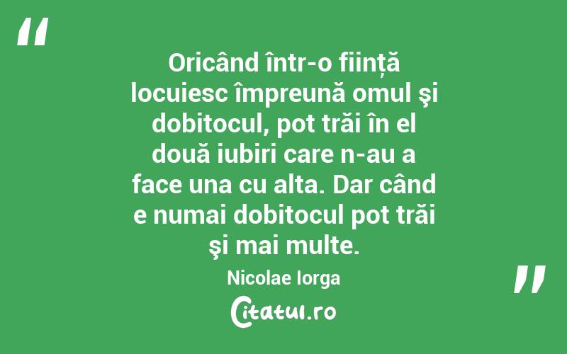 Oricând într-o fiinţă locuiesc împreună omul şi dobitocul, pot trăi în el două iubiri care n-au a face una cu alta. Dar când e numai dobitocul pot trăi şi mai multe. Nicolae Iorga
