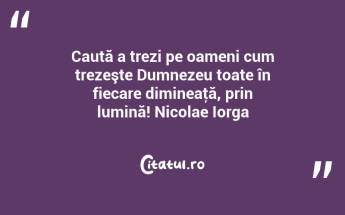 Caută a trezi pe oameni cum trezeşte Dumnezeu toate în fiecare dimineaţă, prin lumină! Nicolae Iorga...