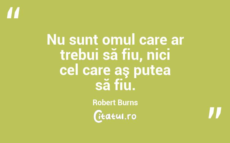 Nu sunt omul care ar trebui să fiu, nici cel care aş putea să fiu. Robert Burns
