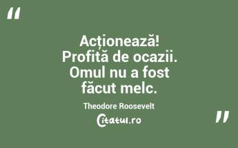 Acţionează! Profită de ocazii. Omul nu a fost făcut melc. Theodore Roosevelt...