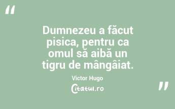 Dumnezeu a făcut pisica, pentru ca omul să aibă un tigru de mângâiat. Victor Hugo...