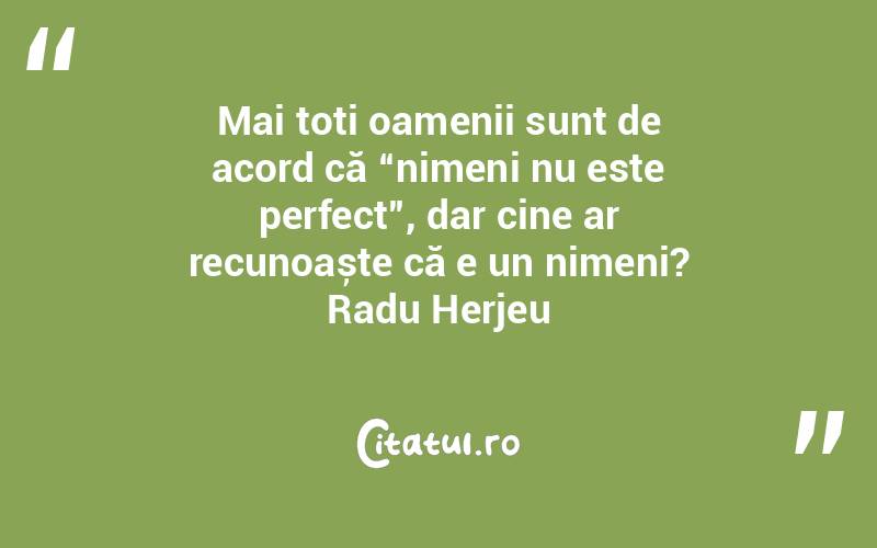 Mai toți oamenii sunt de acord că “nimeni nu este perfect”, dar cine ar recunoaște că e un nimeni? Radu Herjeu

