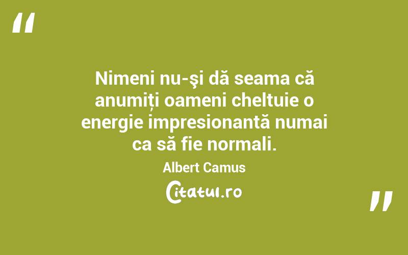 Nimeni nu-şi dă seama că anumiţi oameni cheltuie o energie impresionantă numai ca să fie normali. Albert Camus
