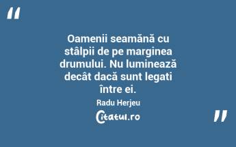 Oamenii seamănă cu stâlpii de pe marginea drumului. Nu luminează decât dacă sunt legați între ei. Radu Herjeu...