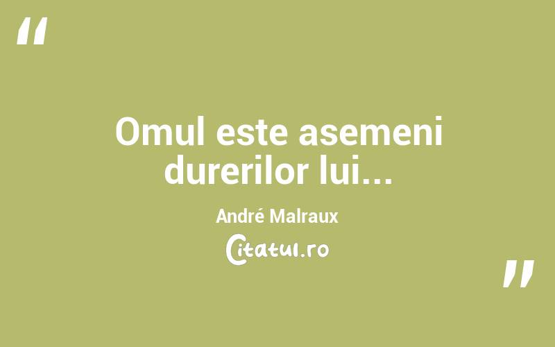  Omul este asemeni durerilor lui... André Malraux
