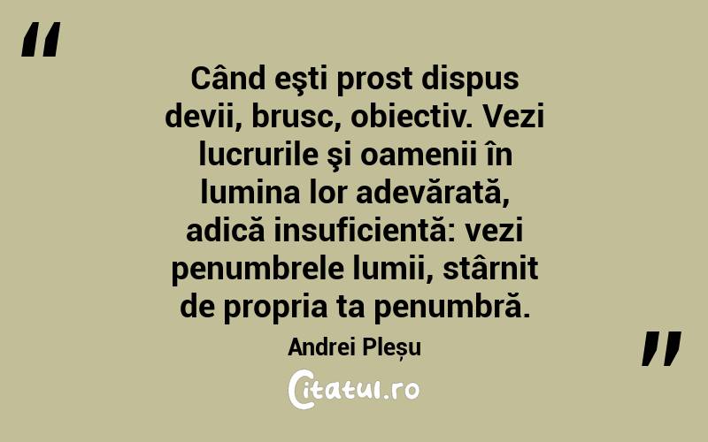 Când eşti prost dispus devii, brusc, obiectiv. Vezi lucrurile şi oamenii în lumina lor adevărată, adică insuficientă: vezi penumbrele lumii, stârnit de propria ta penumbră. Andrei Pleșu