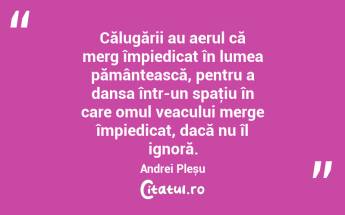  Călugării au aerul că merg împiedicat în lumea pământească, pentru a dansa într-un spaţiu în care omul veacului merge împiedicat, dacă nu îl ignoră. Andrei Pleșu...