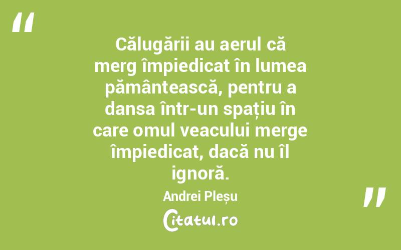  Călugării au aerul că merg împiedicat în lumea pământească, pentru a dansa într-un spaţiu în care omul veacului merge împiedicat, dacă nu îl ignoră. Andrei Pleșu
