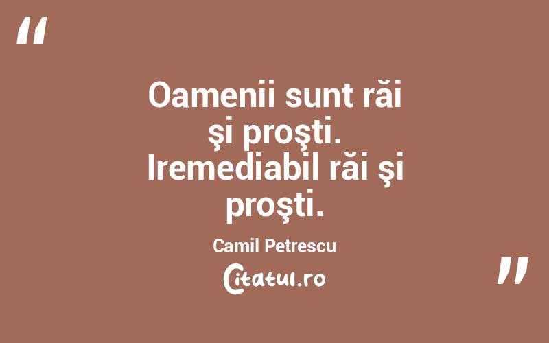 Oamenii sunt răi şi proşti. Iremediabil răi şi proşti. Camil Petrescu
