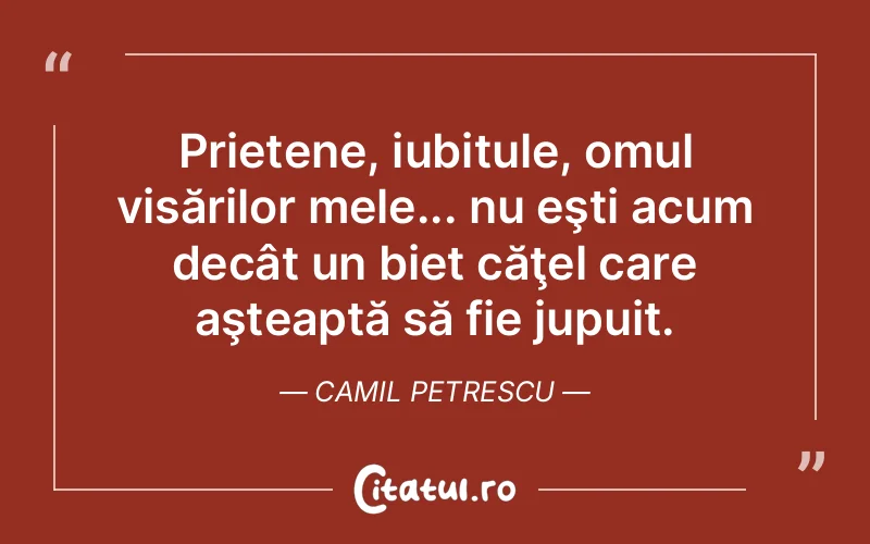 Citat Camil Petrescu - citate oameni