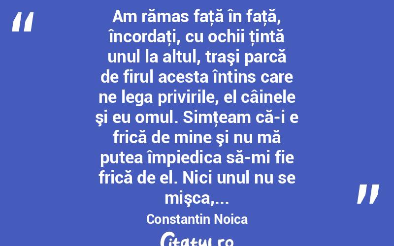  Am rămas faţă în faţă, încordaţi, cu ochii ţintă unul la altul, traşi parcă de firul acesta întins care ne lega privirile, el câinele şi eu omul. Simţeam că-i e frică de mine şi nu mă putea împiedica să-mi fie frică de el. Nici unul nu se mişca,... Constantin Noica
