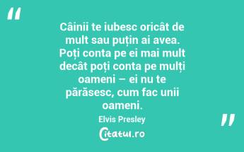 Câinii te iubesc oricât de mult sau puţin ai avea. Poţi conta pe ei mai mult decât poţi conta pe mulţi oameni – ei nu te părăsesc, cum fac unii oameni. Elvis Presley...