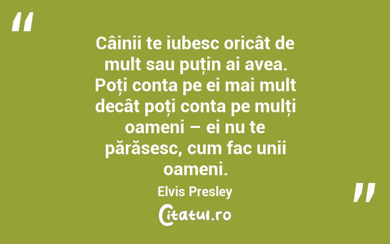 Câinii te iubesc oricât de mult sau puţin ai avea. Poţi conta pe ei mai mult decât poţi conta pe mulţi oameni – ei nu te părăsesc, cum fac unii oameni. Elvis Presley
