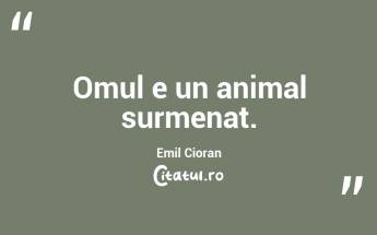 Omul e un animal surmenat. Emil Cioran...