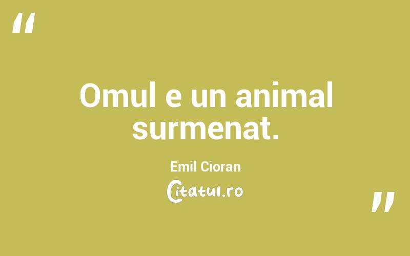 Omul e un animal surmenat. Emil Cioran
