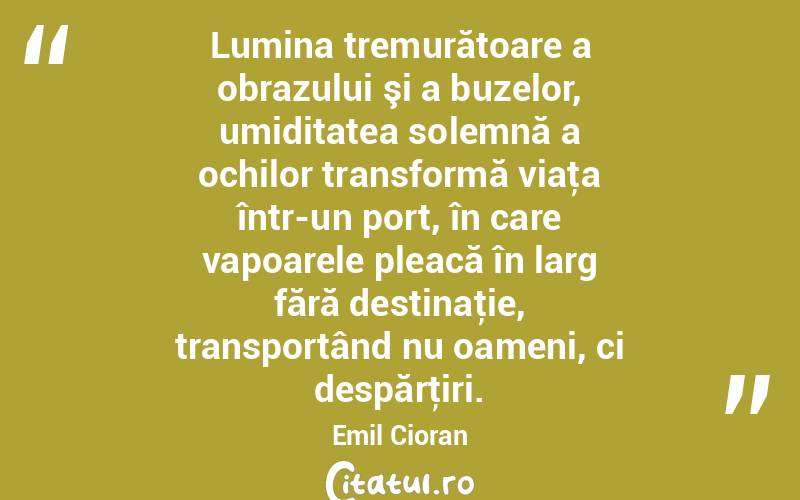 Lumina tremurătoare a obrazului şi a buzelor, umiditatea solemnă a ochilor transformă viaţa într-un port, în care vapoarele pleacă în larg fără destinaţie, transportând nu oameni, ci despărţiri. Emil Cioran
