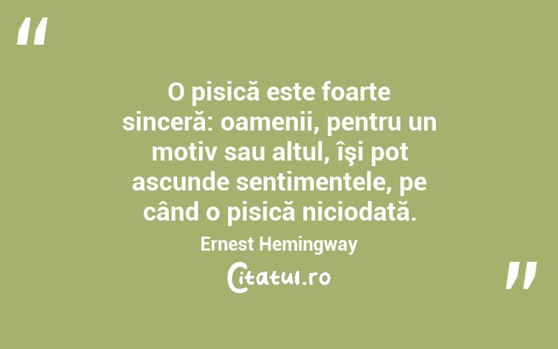 O pisică este foarte sinceră: oamenii, pentru un motiv sau altul, îşi pot ascunde sentimentele, pe când o pisică niciodată. Ernest Hemingway
