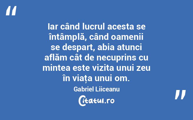  Iar când lucrul acesta se întâmplă, când oamenii se despart, abia atunci aflăm cât de necuprins cu mintea este vizita unui zeu în viaţa unui om. Gabriel Liiceanu
