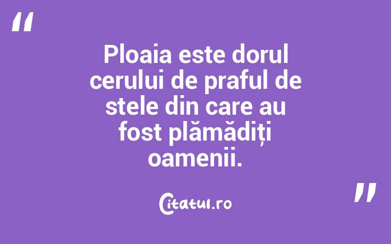 Ploaia este dorul cerului de praful de stele din care au fost plămădiţi oamenii. 
