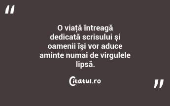O viaţă întreagă dedicată scrisului şi oamenii îşi vor aduce aminte numai de virgulele lipsă. ...
