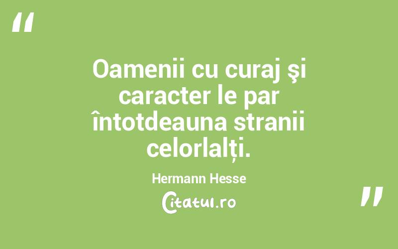 Oamenii cu curaj şi caracter le par întotdeauna stranii celorlalţi. Hermann Hesse
