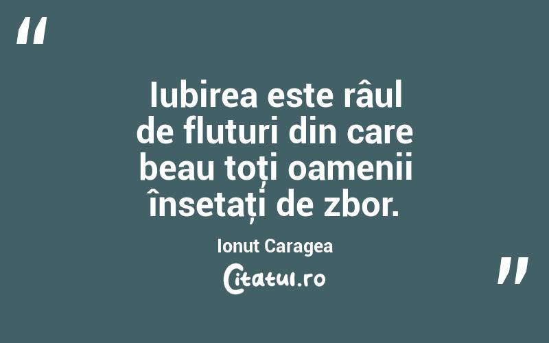 Iubirea este râul de fluturi din care beau toţi oamenii însetaţi de zbor. Ionuț Caragea
