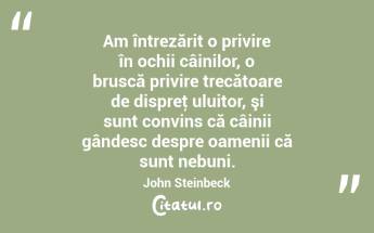 Am întrezărit o privire în ochii câinilor, o bruscă privire trecătoare de dispreţ uluitor, şi sunt convins că câinii gândesc despre oamenii că sunt nebuni. John Steinbeck...