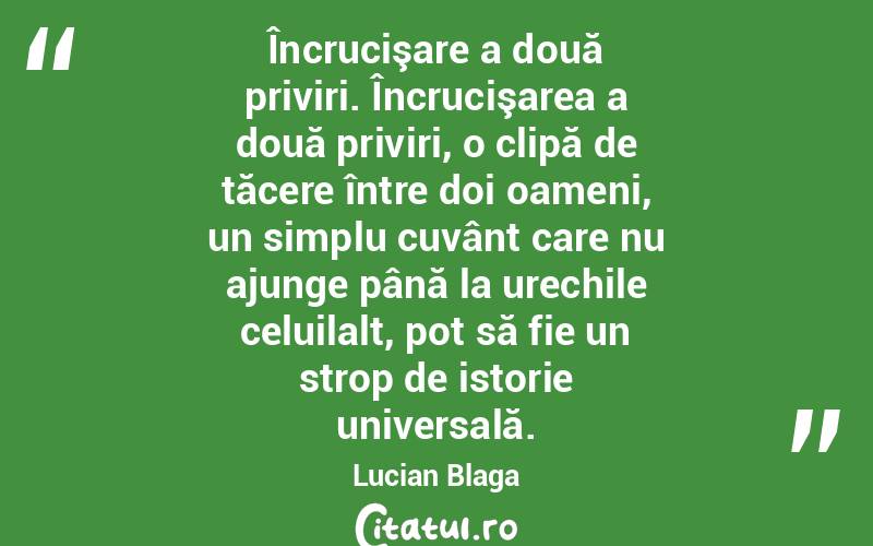  Încrucişare a două priviri. Încrucişarea a două priviri, o clipă de tăcere între doi oameni, un simplu cuvânt care nu ajunge până la urechile celuilalt, pot să fie un strop de istorie universală. Lucian Blaga
