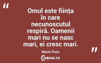 Omul este fiinţa în care necunoscutul respiră. Oamenii mari nu se nasc mari, ei cresc mari. Mario Puzo...