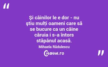 Şi câinilor le e dor - nu ştiu mulţi oameni care să se bucure ca un câine căruia i s-a întors stăpânul acasă. Mihaela Rădulescu...