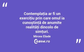 Contemplaţia ar fi un exerciţiu prin care omul ia cunoştinţă de anumite realităţi dincolo de simţuri. Mircea Eliade...