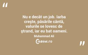  Nu e decât un job. Iarba creşte, păsările cântă, valurile se lovesc de ştrand, iar eu bat oameni. Muhammad Ali...