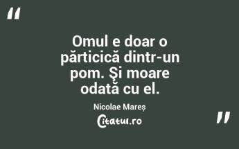 Omul e doar o părticică dintr-un pom. Şi moare odată cu el. Nicolae Mareș...