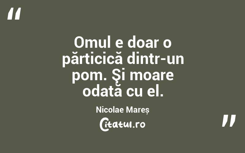 Omul e doar o părticică dintr-un pom. Şi moare odată cu el. Nicolae Mareș
