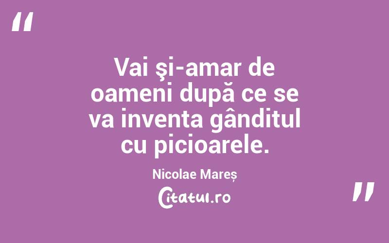 Vai şi-amar de oameni după ce se va inventa gânditul cu picioarele. Nicolae Mareș
