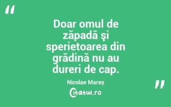 Doar omul de zăpadă şi sperietoarea din grădină nu au dureri de cap. Nicolae Mareș...