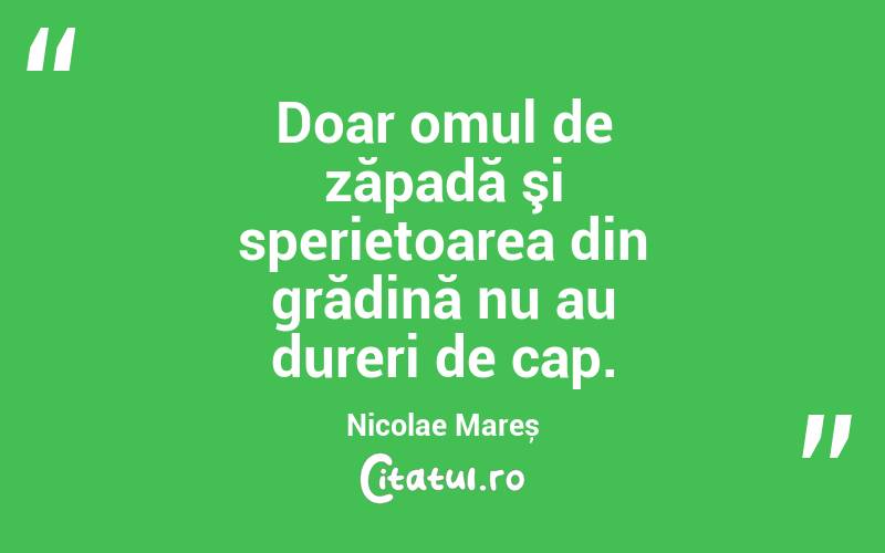 Doar omul de zăpadă şi sperietoarea din grădină nu au dureri de cap. Nicolae Mareș
