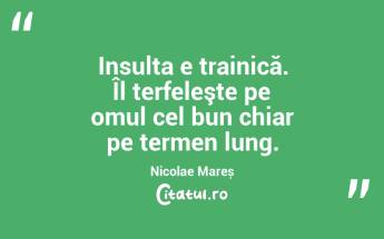 Insulta e trainică. Îl terfeleşte pe omul cel bun chiar pe termen lung. Nicolae Mareș...