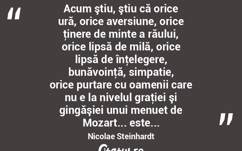  Acum ştiu, ştiu că orice ură, orice aversiune, orice ţinere de minte a răului, orice lipsă de milă, orice lipsă de înţelegere, bunăvoinţă, simpatie, orice purtare cu oamenii care nu e la nivelul graţiei şi gingăşiei unui menuet de Mozart... este... Nicolae Steinhardt
