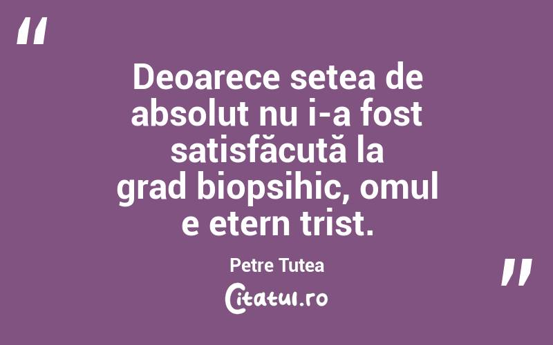 Deoarece setea de absolut nu i-a fost satisfăcută la grad biopsihic, omul e etern trist. Petre Țuțea
